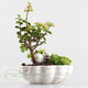 Ceramic Cat Flower Pot - Garden - ravn