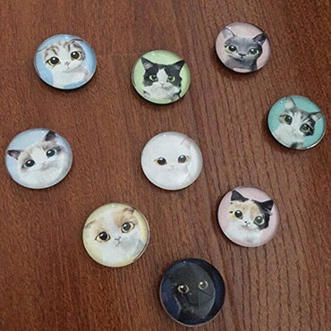 Koolemon 9pcs Glass Refrigerator Magnets Fridge Magnets Funny Magnets for Refrigerator Office Cabinets Whiteboards,Cat Kitty Decorative Magnets Photo Magnets -  - ravn