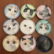 Koolemon 9pcs Glass Refrigerator Magnets Fridge Magnets Funny Magnets for Refrigerator Office Cabinets Whiteboards,Cat Kitty Decorative Magnets Photo Magnets -  - ravn