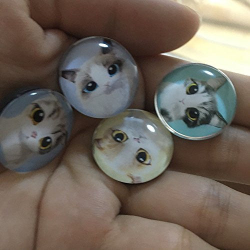 Koolemon 9pcs Glass Refrigerator Magnets Fridge Magnets Funny Magnets for Refrigerator Office Cabinets Whiteboards,Cat Kitty Decorative Magnets Photo Magnets -  - ravn