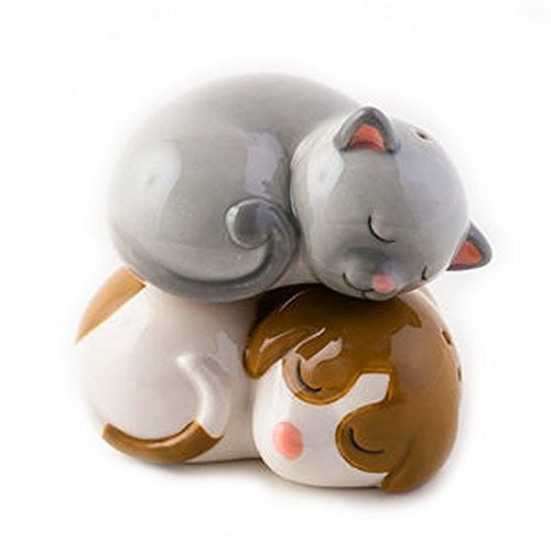 One Hundred 80 Degrees Dog & Cat Salt and Pepper Shakers -  - ravn